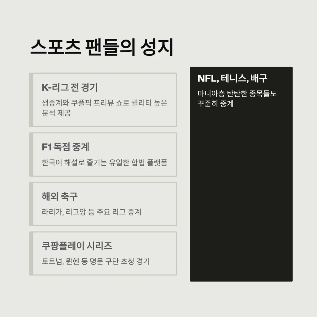 스포츠 팬들의 성지 스포츠 팬들의 성지