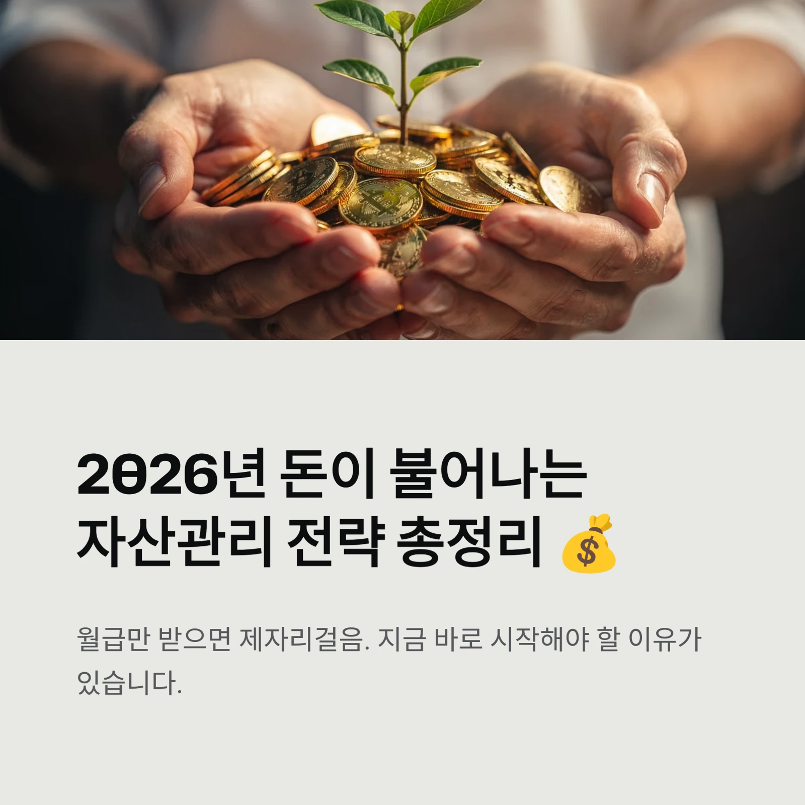 2026년 돈이 불어나는자산관리 전략 총정리