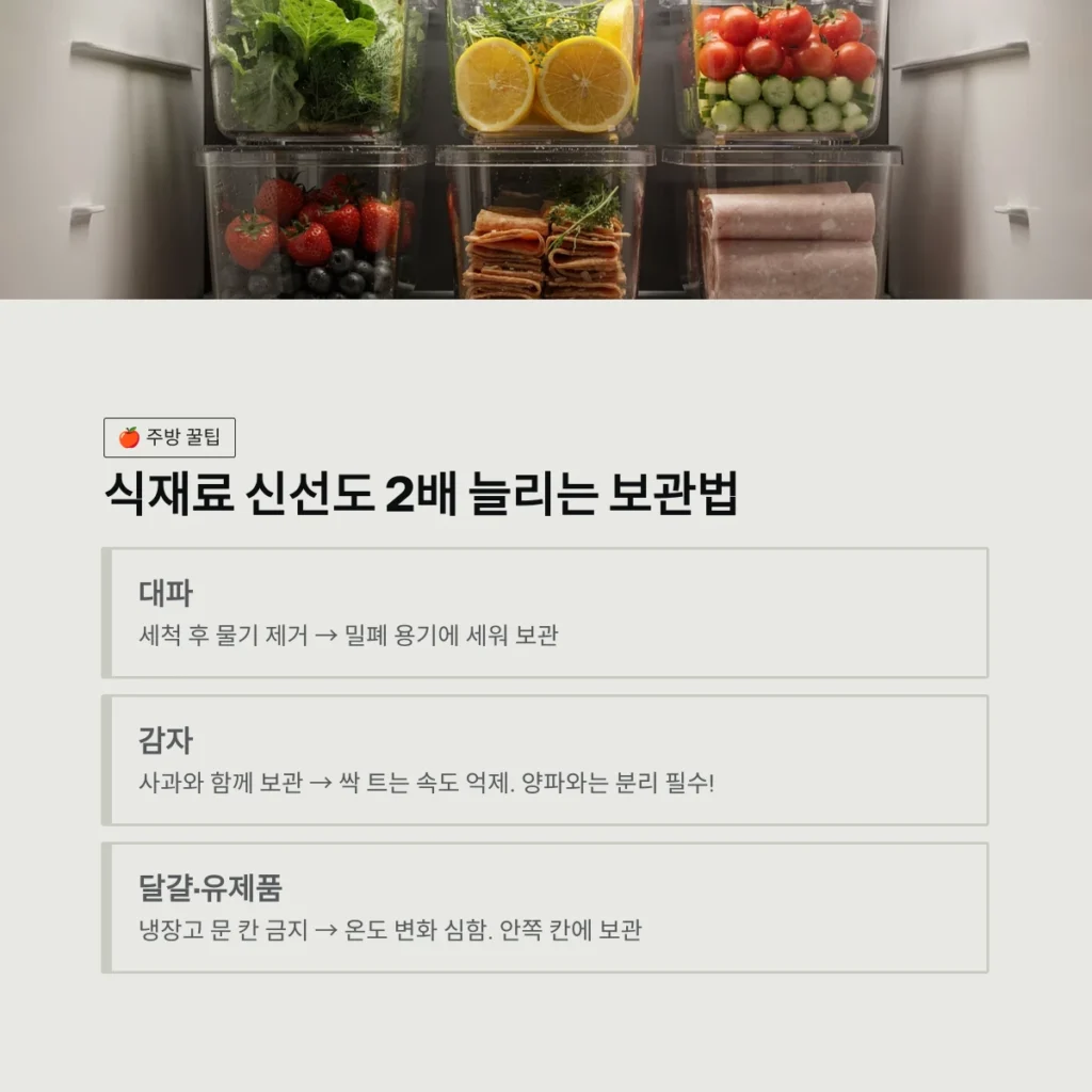 식재료 신선도 2배 늘리는 보관법